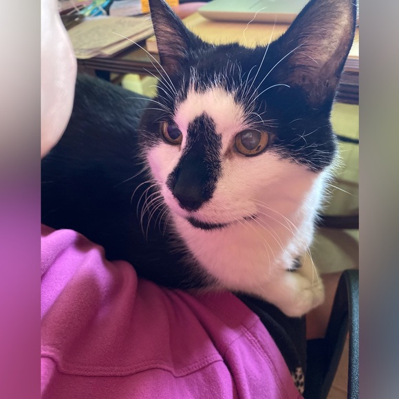 Meet your Posher, Beverly - Picture 14 of 16